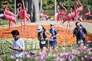 BIB: 
                            <button type="button" onclick="openModal(27793137)" class="btn btn-primary btn-sm float-right btn-popup" data-toggle="modal" data-target=".modal-high-quality">
                        <i class="fas fa-shopping-cart"></i> Add to Cart
                    </button>
                                            <button type="button" onclick="isThisMe(27793137, true)" class="btn btn-success btn-sm float-right btn-popup btn-isme hidden" data-toggle="tooltip" data-placement="bottom" title="นี่คือรูปของคุณใช่ไหม คลิกที่นี่เพื่อเอาเข้าอัลบั้ม">
                        <i class="fas fa-plus"></i> Add to album
                    </button>
                    <button type="button" onclick="isThisMe(27793137, false)" class="btn btn-warning btn-sm float-right btn-popup btn-isnotme hidden">
                        <i class="fas fa-ban"></i> Remove from album
                    </button>